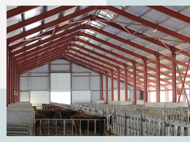 Строительство коровников в Юбилейном