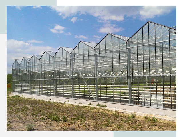 Строительство теплиц в Юбилейный от 618 руб. за м²