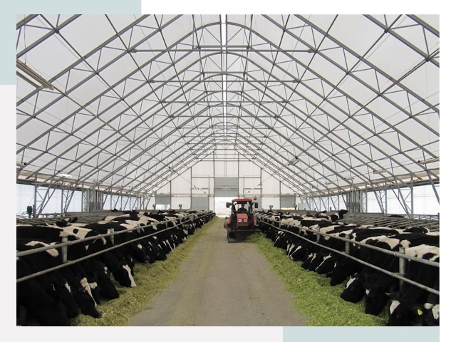 Тентовые коровники в Юбилейном от 618 руб. - Надежно и доступно